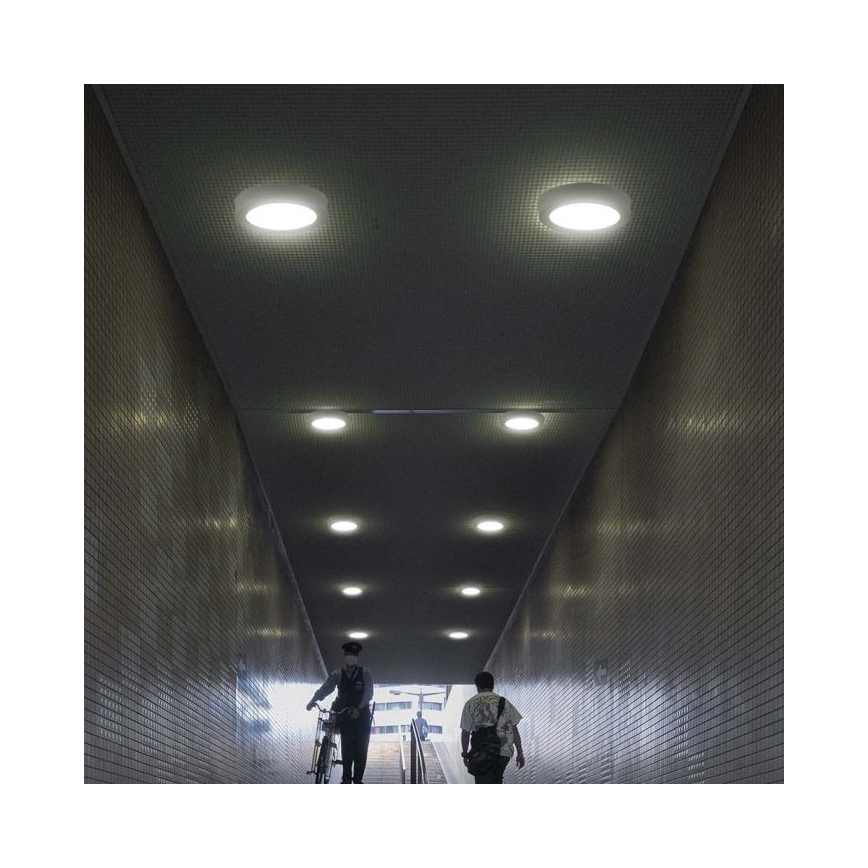 Plafonnier LED LED/6W/230V 6500K blanc