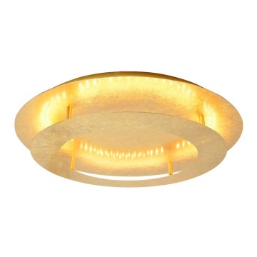 Plafonnier LED MERPLE LED/18W/230V or