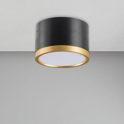 Plafonnier LED MIRELLA 1xGX53/6W/230V noir/doré