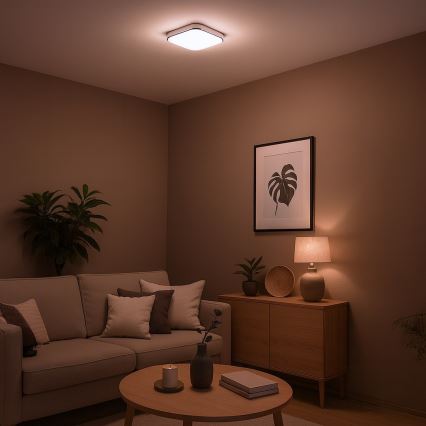 Plafonnier LED NEMO LED/11W/230V 26x26 cm chrome brillant