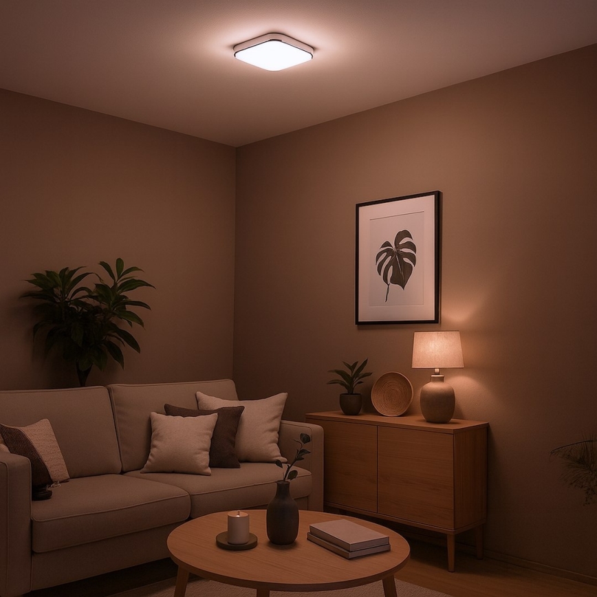 Plafonnier LED NEMO LED/11W/230V 26x26 cm chrome brillant