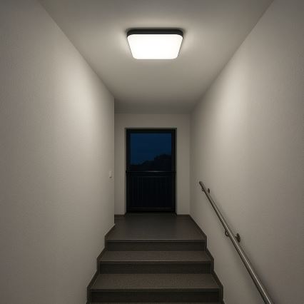 Plafonnier LED NEMO LED/36W/230V 50x50 cm noir