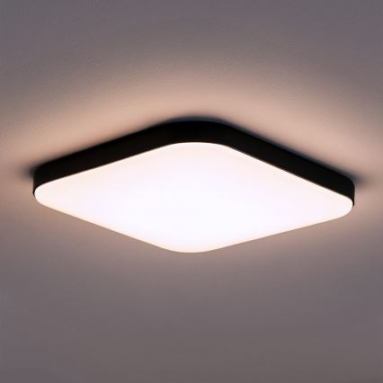 Plafonnier LED NEMO LED/36W/230V 50x50 cm noir