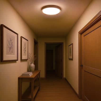 Plafonnier LED ORINOKO LED/36W/230V Ø 48 cm beige