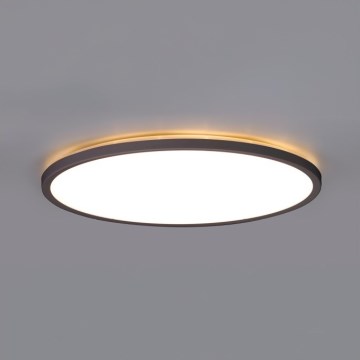 Plafonnier LED pour salle de bain NIVERA LED/12W/230V IP54 3000/4000/6000K Ø 22,5 cm noir