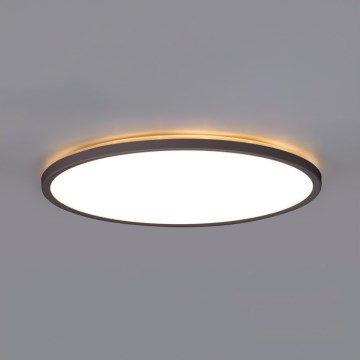 Plafonnier LED pour salle de bain NIVERA LED/32W/230V IP54 3000/4000/6000K Ø 42 cm noir
