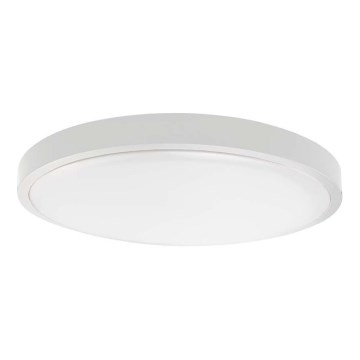 Plafonnier LED pour salle de bains, 18 W, 230 V, 4000 K, IP44, Ø 25 cm, blanc