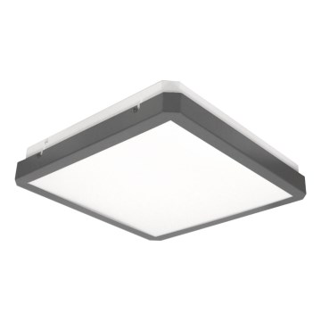 Plafonnier LED RAVA avec capteur de mouvement et détecteur crépusculaire LED/38W/230V 4000K 41x41 cm anthracite