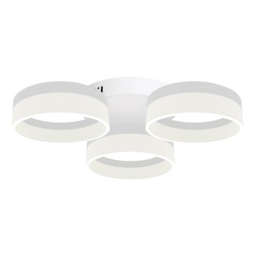 plafonnier LED RING 3xLED/12W/230V blanc