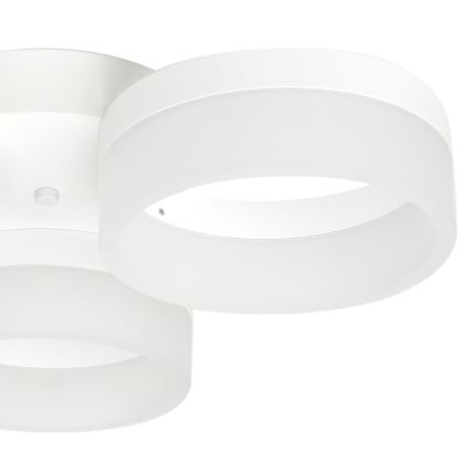 plafonnier LED RING 3xLED/12W/230V blanc