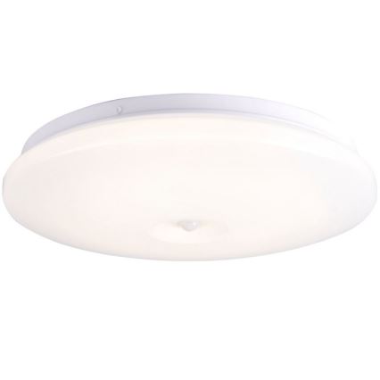 Plafonnier LED salle de bain ADAR LED/13W/230V IP44 4000K détecteur