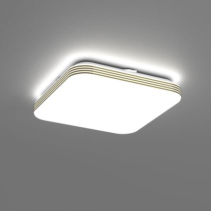 Plafonnier LED salle de bain DABAR LED/11W/230V 4000K 26x26 cm IP44