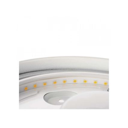 Plafonnier LED salle de bain LED/18W/230V IP44