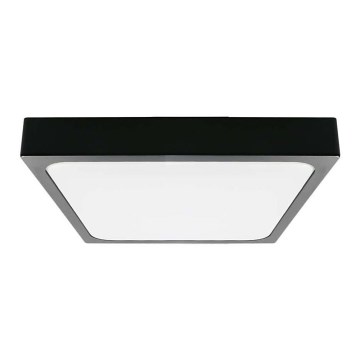 Plafonnier LED salle de bain LED/24W/230V 6500K IP44 noir