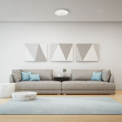 Plafonnier LED salle de bain PEPE LED/20W/230V IP44