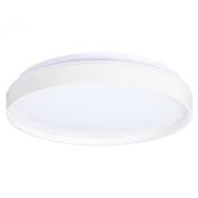Plafonnier LED TEXAS LED/15W/230V blanc
