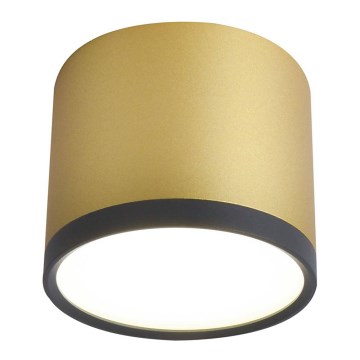 Plafonnier LED TUBA LED/9W/230V