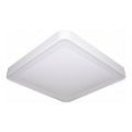 Plafonnier LED WILTON avec capteur de mouvement et capteur crépusculaire, LED/24W/230V, 4000K, 33x33 cm, blanc