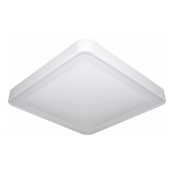 Plafonnier LED WILTON avec capteur de mouvement et capteur crépusculaire, LED/24W/230V, 4000K, 33x33 cm, blanc