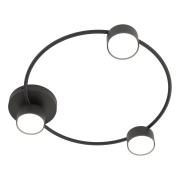 Plafonnier LUCIO 3xGX53/12W/230V noir