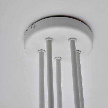Plafonnier MATYLDA 5xE27/60W/230V blanc