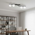 Plafonnier NATON 4xE14/10W/230V noir/blanc