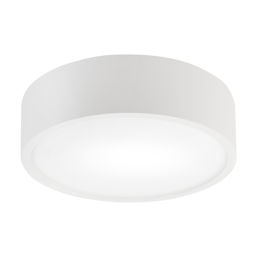 Plafonnier NATURAL 1xE27/15W/230V, diam. 27,5 cm, pin/blanc