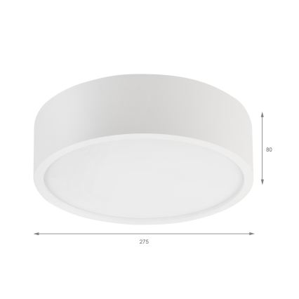 Plafonnier NATURAL 1xE27/15W/230V, diam. 27,5 cm, pin/blanc
