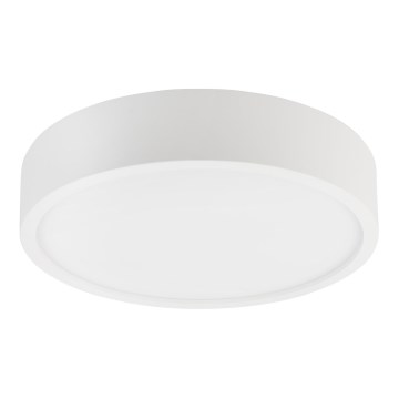 Plafonnier NATURAL 3xE27/15W/230V Ø 37,5 cm pin/blanc