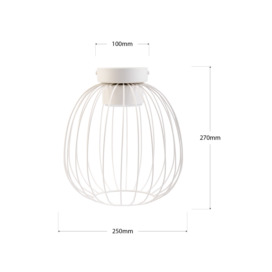 Plafonnier OVELLA 1x GX53/10W/230V Ø 25 cm crème