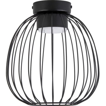 Plafonnier OVELLA 1xGX53/10W/230V Ø 25 cm noir