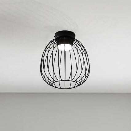 Plafonnier OVELLA 1xGX53/10W/230V Ø 25 cm noir