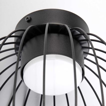 Plafonnier OVELLA 1xGX53/10W/230V Ø 25 cm noir