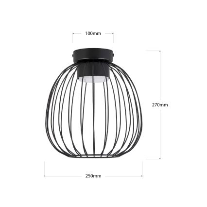 Plafonnier OVELLA 1xGX53/10W/230V Ø 25 cm noir