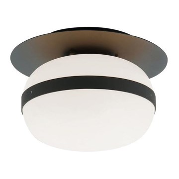 Plafonnier PALMA 1x E27/40W/230V noir