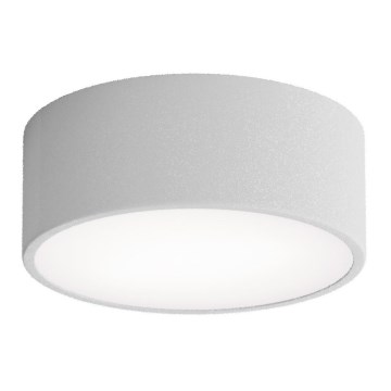 Plafonnier pour salle de bains avec détecteur CLEO 1xE27/24W/230V Ø 20 cm IP54 gris
