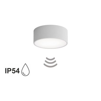 Plafonnier pour salle de bains avec détecteur CLEO 1xE27/24W/230V Ø 20 cm IP54 gris