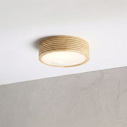 Plafonnier pour salle de bains NATURAL MODERN 2xE27/15W/230V IP54 Ø 27,5 cm pin
