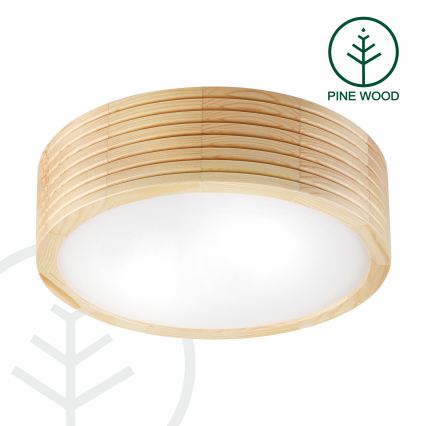 Plafonnier pour salle de bains NATURAL MODERN 2xE27/15W/230V IP54 Ø 27,5 cm pin