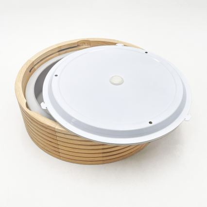 Plafonnier pour salle de bains NATURAL MODERN 2xE27/15W/230V IP54 Ø 27,5 cm pin