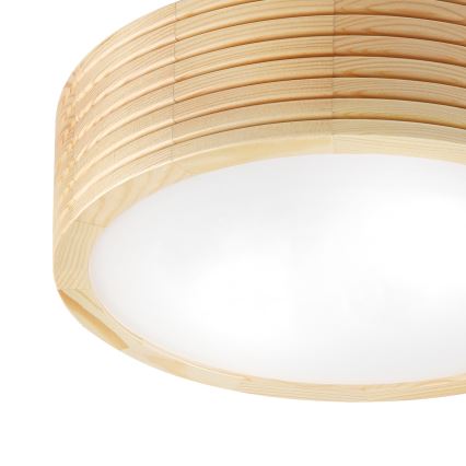Plafonnier pour salle de bains NATURAL MODERN 2xE27/15W/230V IP54 Ø 27,5 cm pin