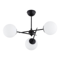 Plafonnier PRIMERY 3xE14/10W/230V noir