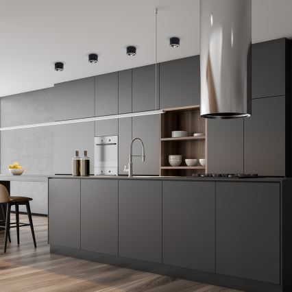 Plafonnier REDONDO 1xAR111 - GU10/12W/230V