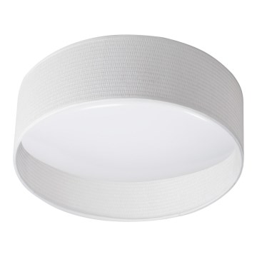 Plafonnier RIFA LED/17,5W/230V 4000K blanc