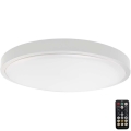 Plafonnier salle de bain avec détecteur LED/24W/230V 6500K IP44 blanc + télécommande