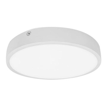 Plafonnier salle de bain EGON LED/16W/230V IP44 4000K