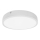 Plafonnier salle de bain EGON LED/16W/230V IP44 4000K