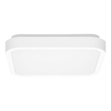 Plafonnier salle de bain LUKY LED/12W/230V 4000K 25x25 cm IP44 blanc