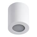 Plafonnier salle de bain SANI 1xGU10/10W/230V IP44 blanc