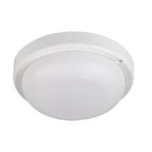 Plafonnier salle de bain TOLU LED/9W/230V 4000K IP54 blanc